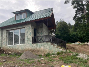 cottage Bakuriani